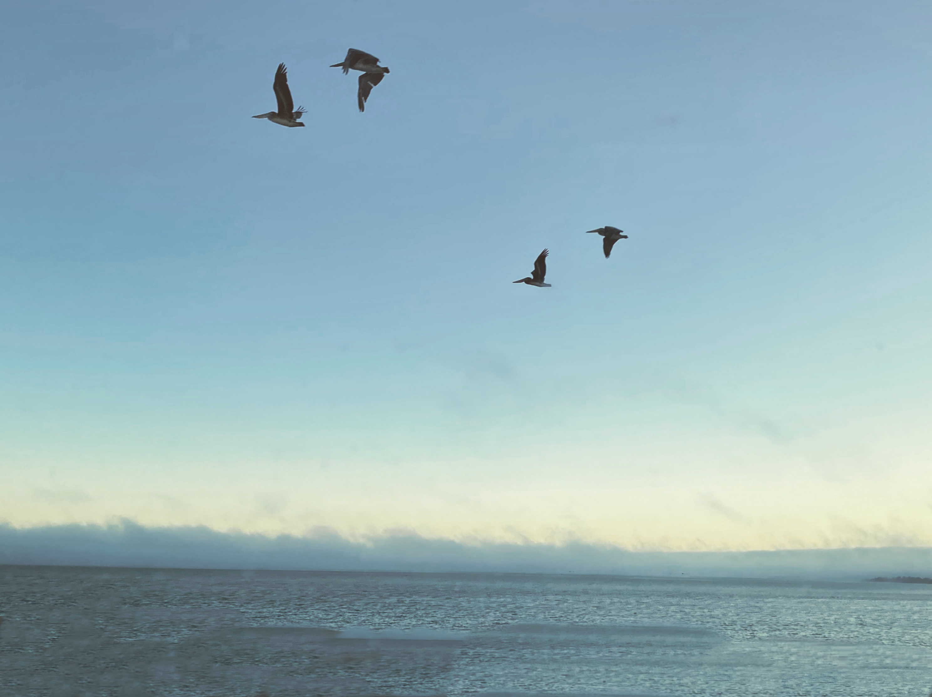 Letters to a Life I Loved